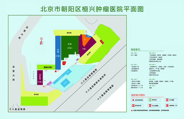 大鸡巴暴干淫女视频北京市朝阳区桓兴肿瘤医院平面图